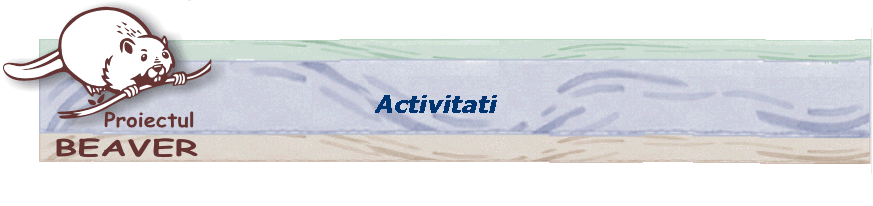 Activitati