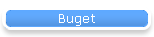 Buget